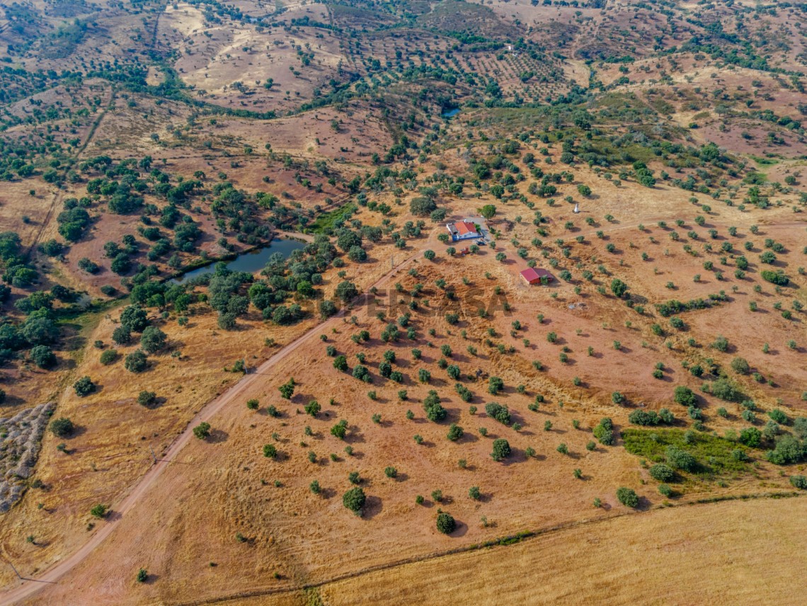 Terreno