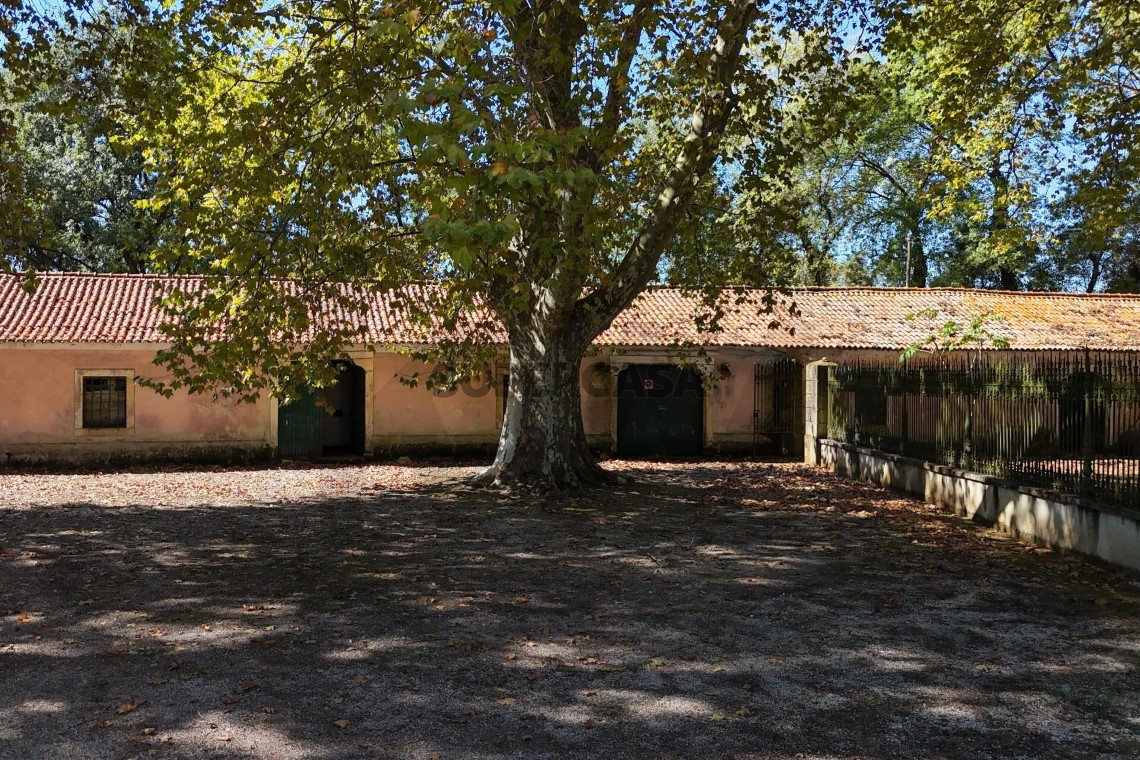 Palácio e Quinta da Graciosa | Imóvel de Interesse Público com 24,5 ha em Anadia.