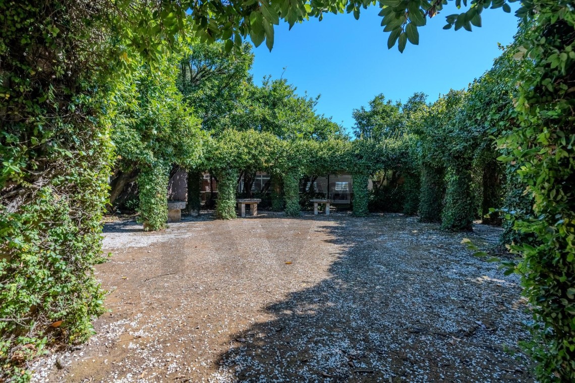 Palácio e Quinta da Graciosa | Imóvel de Interesse Público com 24,5 ha em Anadia.