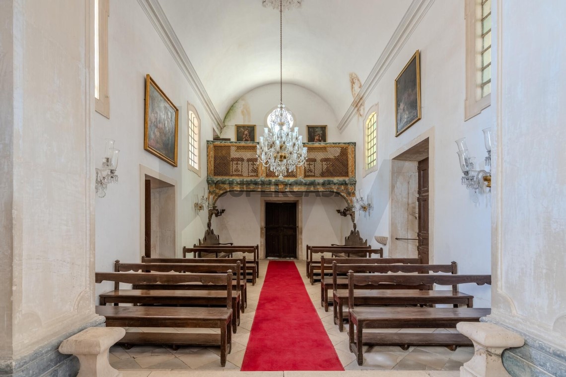 Palácio e Quinta da Graciosa | Imóvel de Interesse Público com 24,5 ha em Anadia.