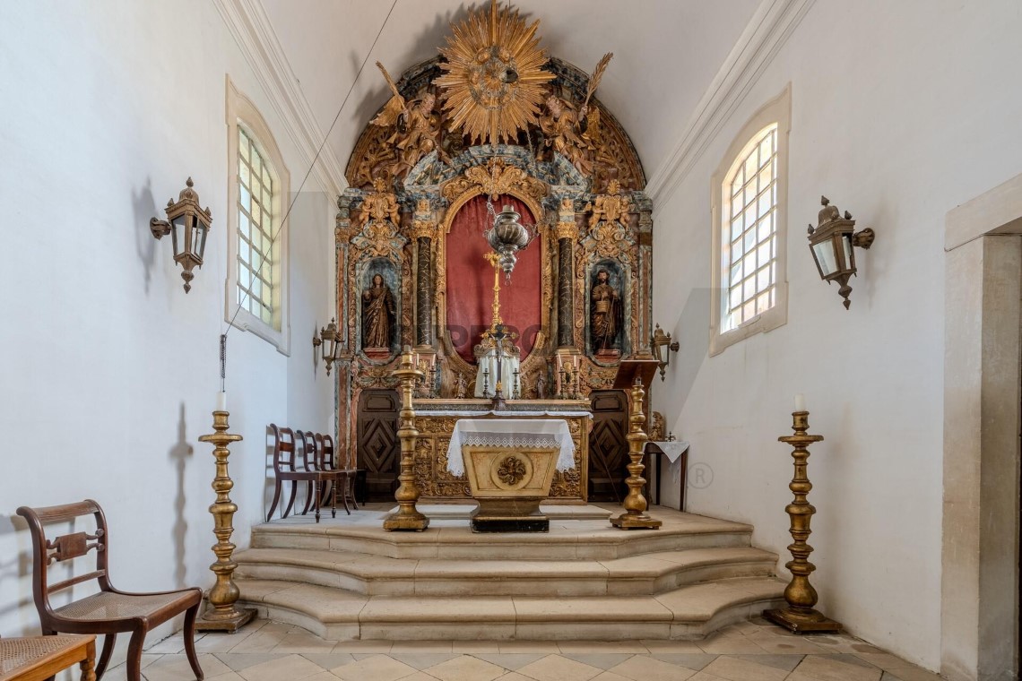 Palácio e Quinta da Graciosa | Imóvel de Interesse Público com 24,5 ha em Anadia.