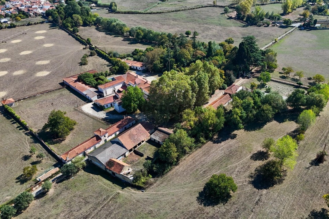Palácio e Quinta da Graciosa | Imóvel de Interesse Público com 24,5 ha em Anadia.