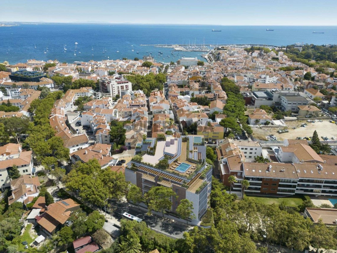 Zona envolvente