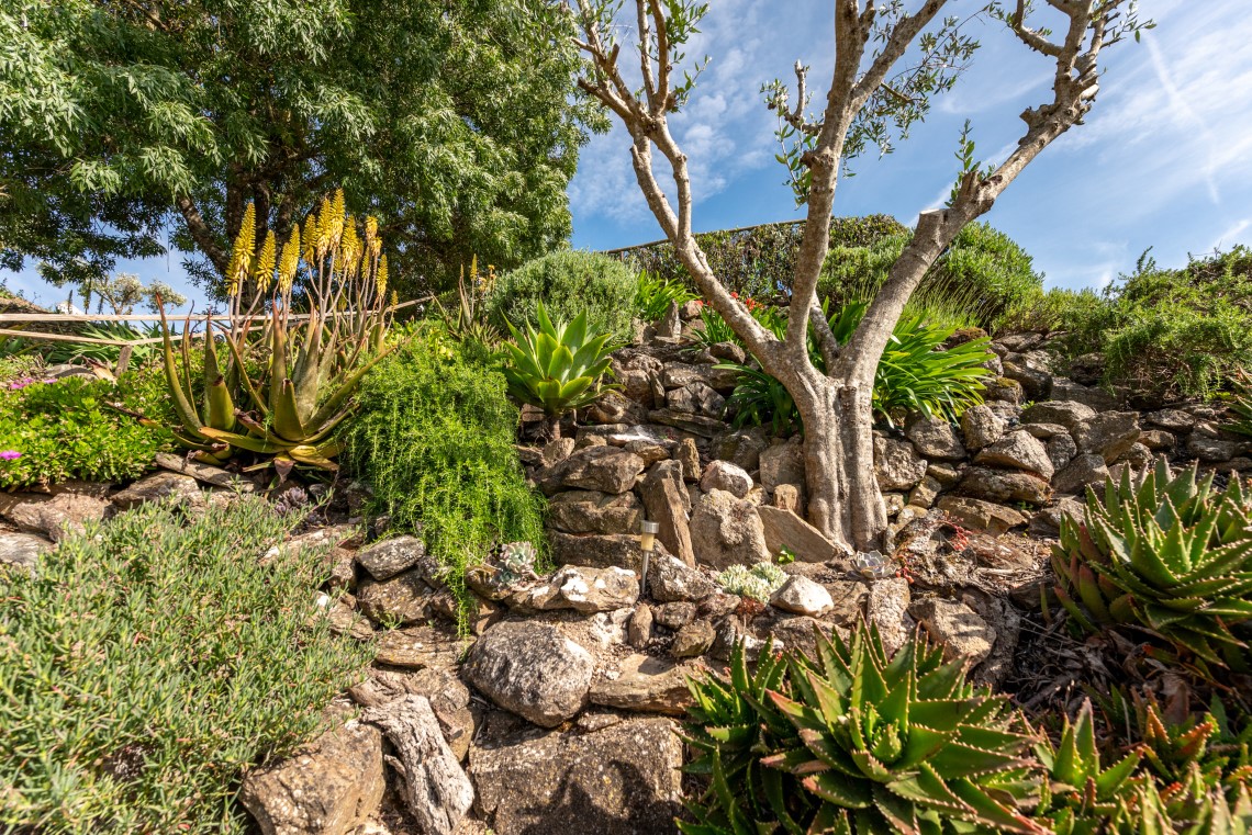 Evoramonte, Alentejo, Portugal