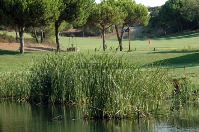 Moradia Isolada T2-Castro Marim-CASASDOSOTAVENTO (24)