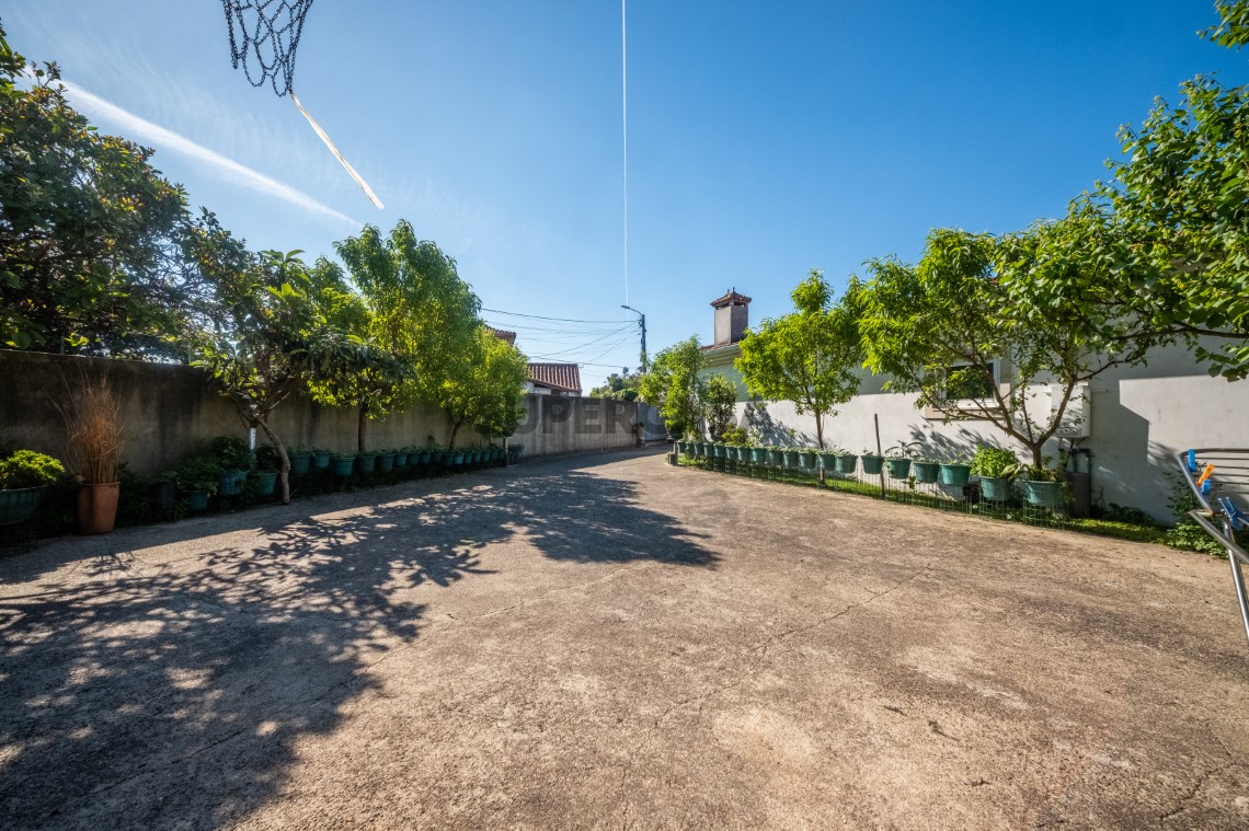 Jardin