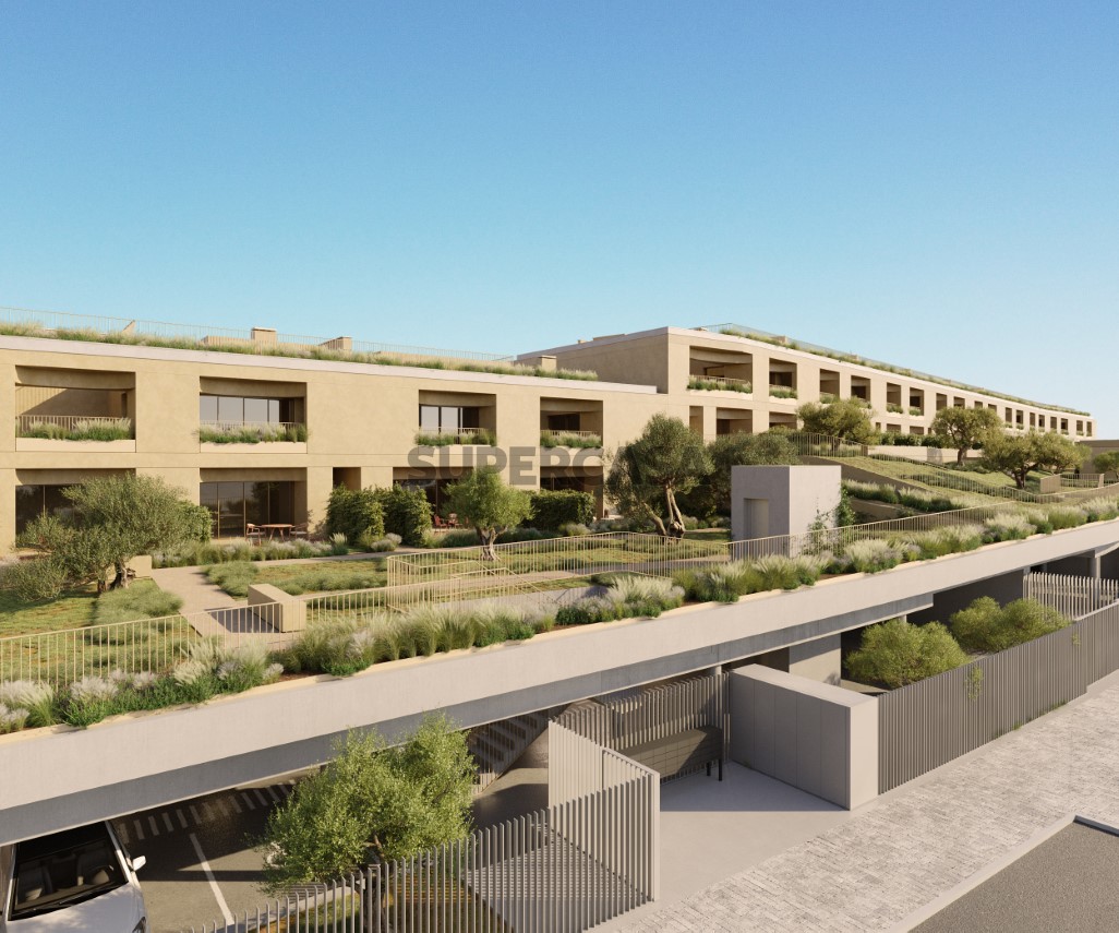 Olive Green Residence_LOTE 1_03