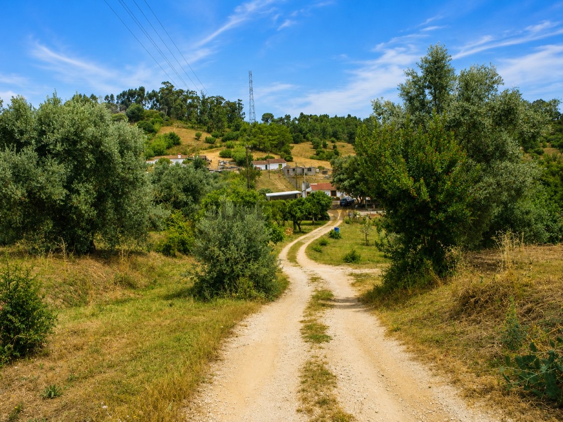Quinta estrada