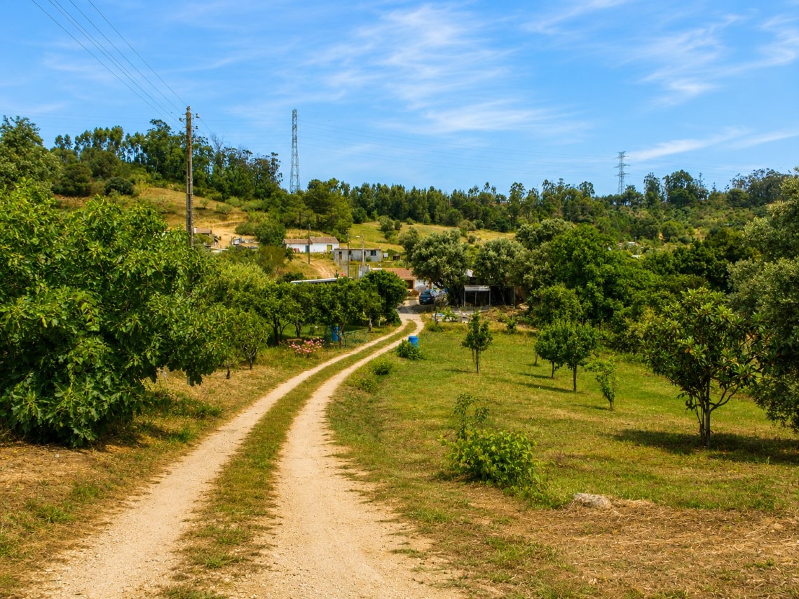 Quinta estrada