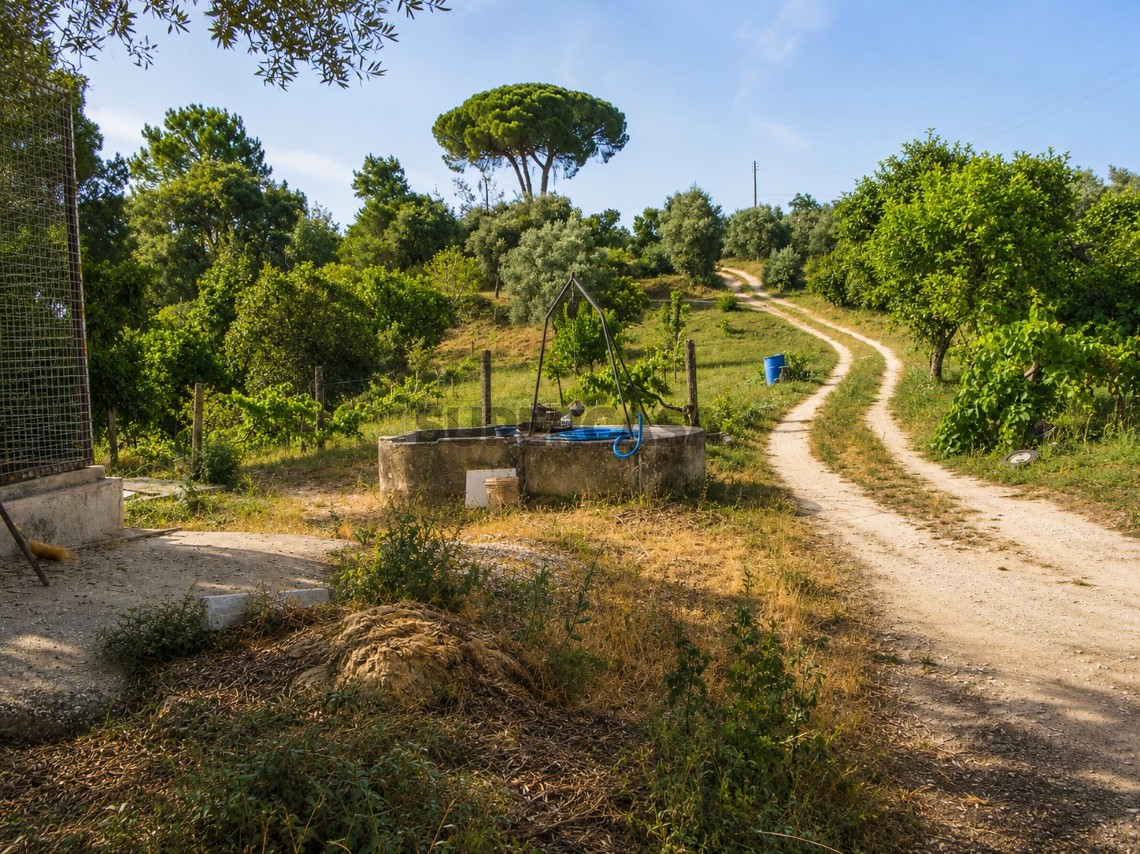 Quinta estrada