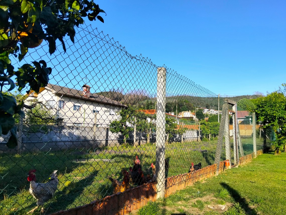Moradia Térrea T3+1 Albergaria-a-Velha