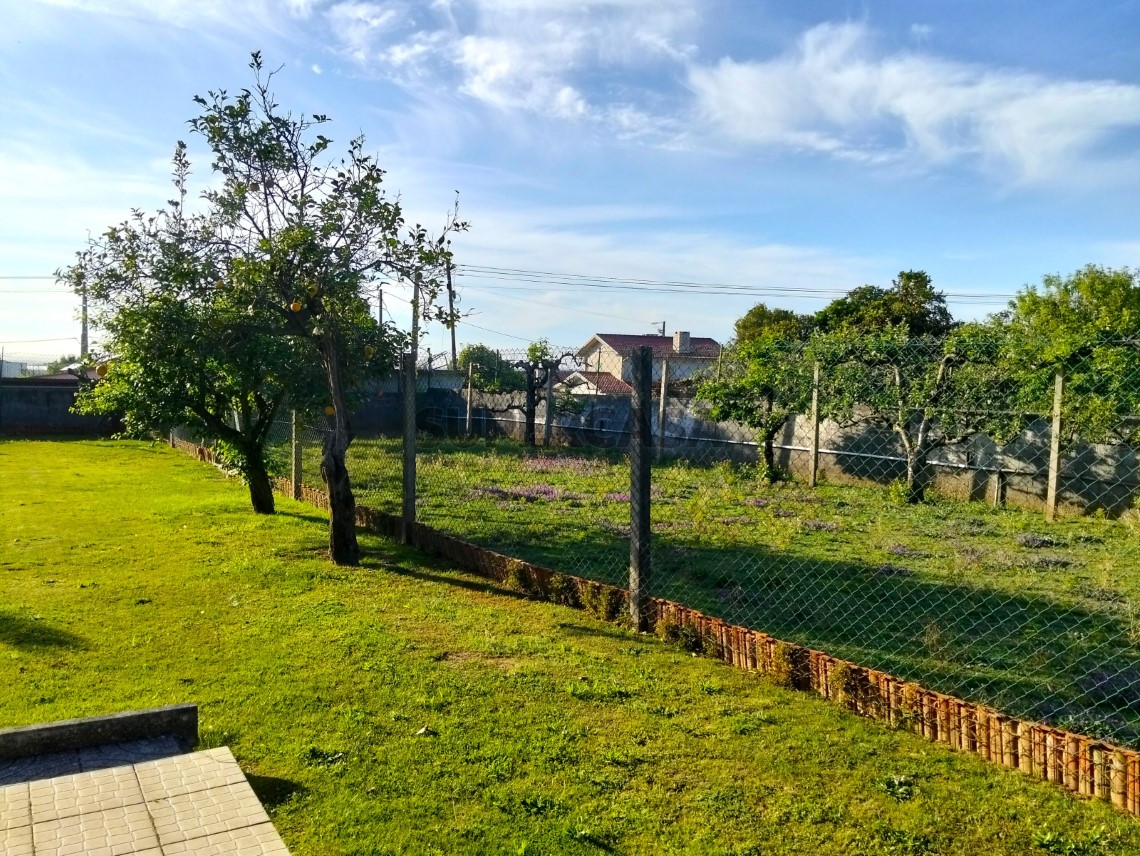 Moradia Térrea T3+1 Albergaria-a-Velha