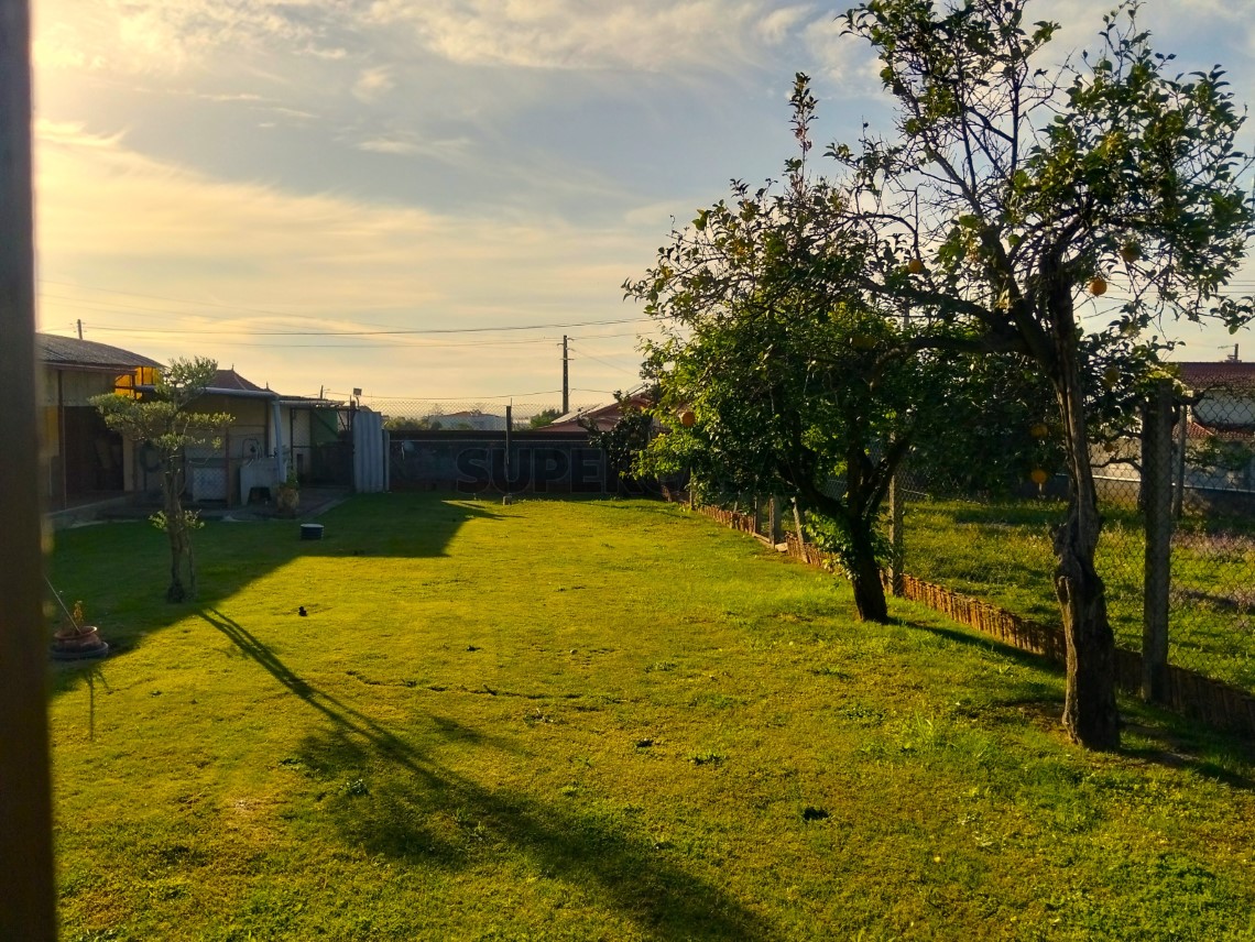 Moradia Térrea T3+1 Albergaria-a-Velha