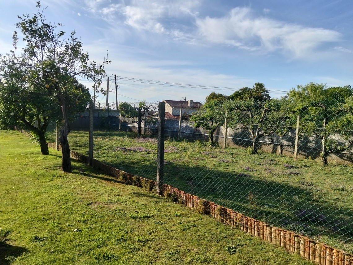 Moradia Térrea T3+1 Albergaria-a-Velha