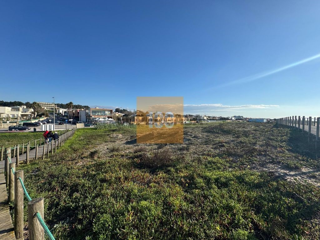 localização