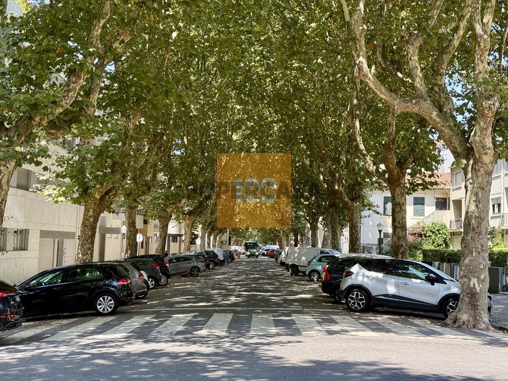 vista rua