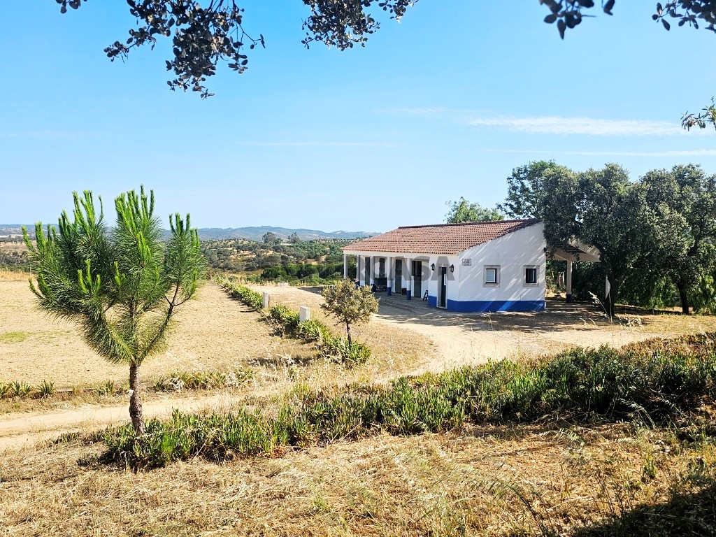 93.5 ha equestrian estate with a 5-bedroom house, swimming pool and lake in Alentejo, Portugal (2)