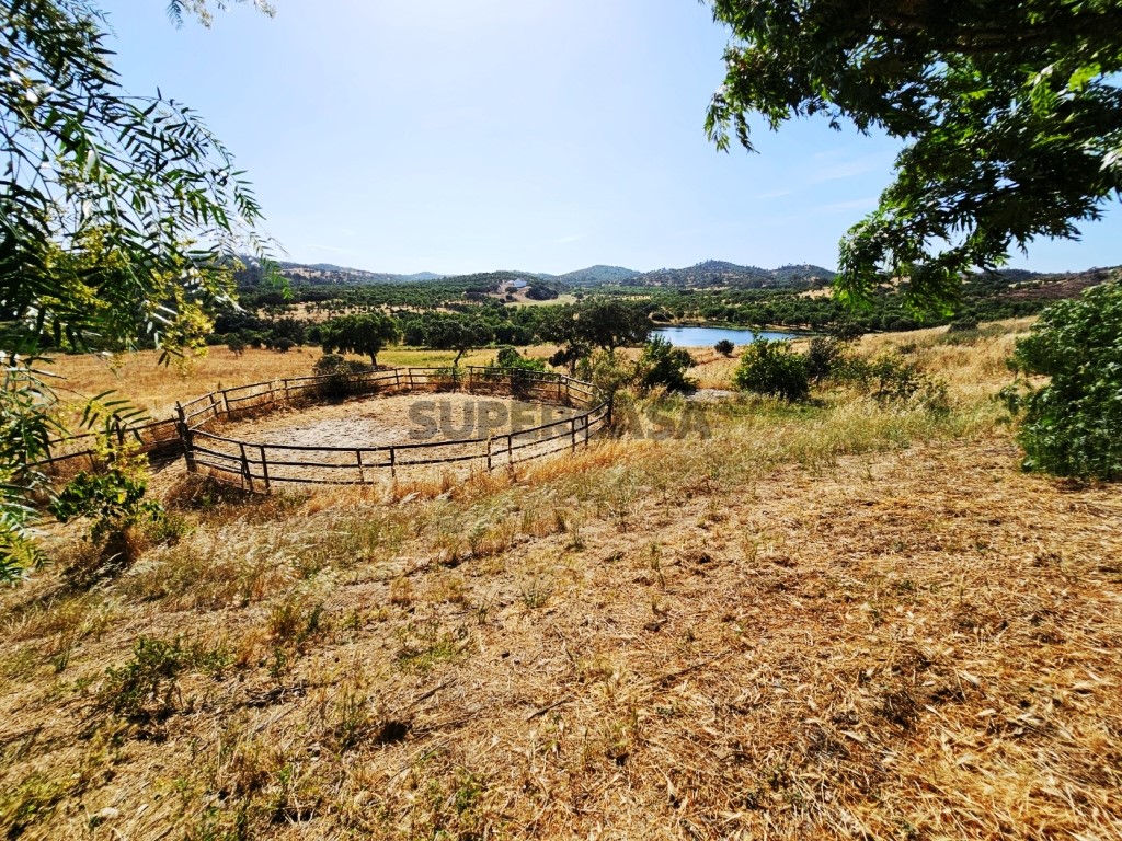 93.5 ha equestrian estate with a 5-bedroom house, swimming pool and lake in Alentejo, Portugal (8)