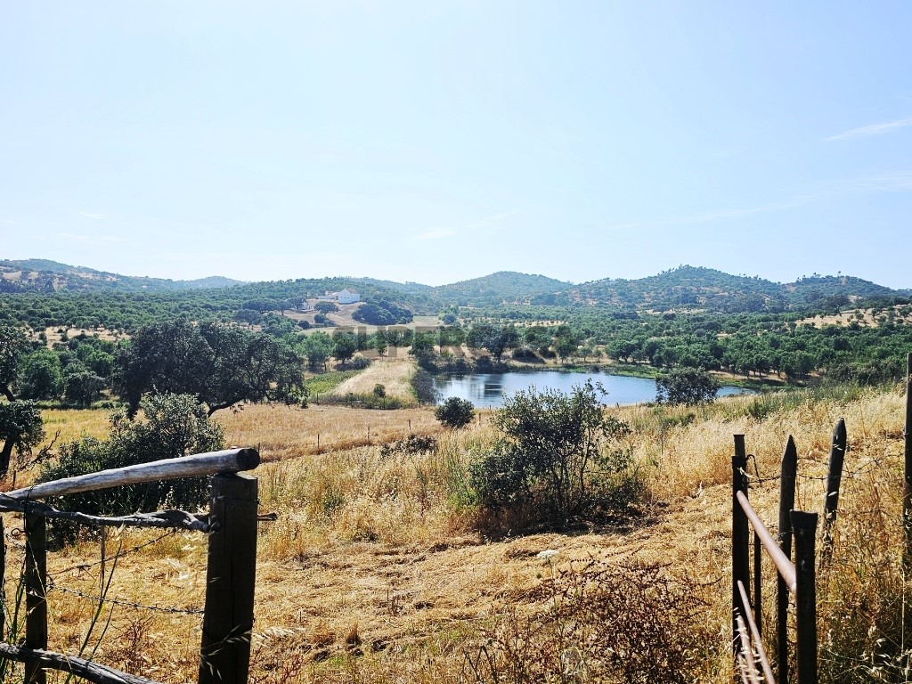 93.5 ha equestrian estate with a 5-bedroom house, swimming pool and lake in Alentejo, Portugal (5)