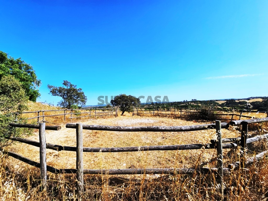 93.5 ha equestrian estate with a 5-bedroom house, swimming pool and lake in Alentejo, Portugal (6)