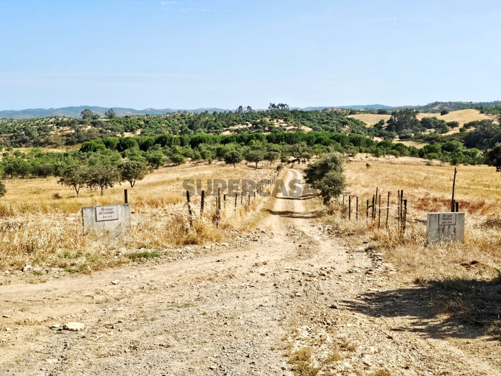 93.5 ha equestrian estate with a 5-bedroom house, swimming pool and lake in Alentejo, Portugal (10)