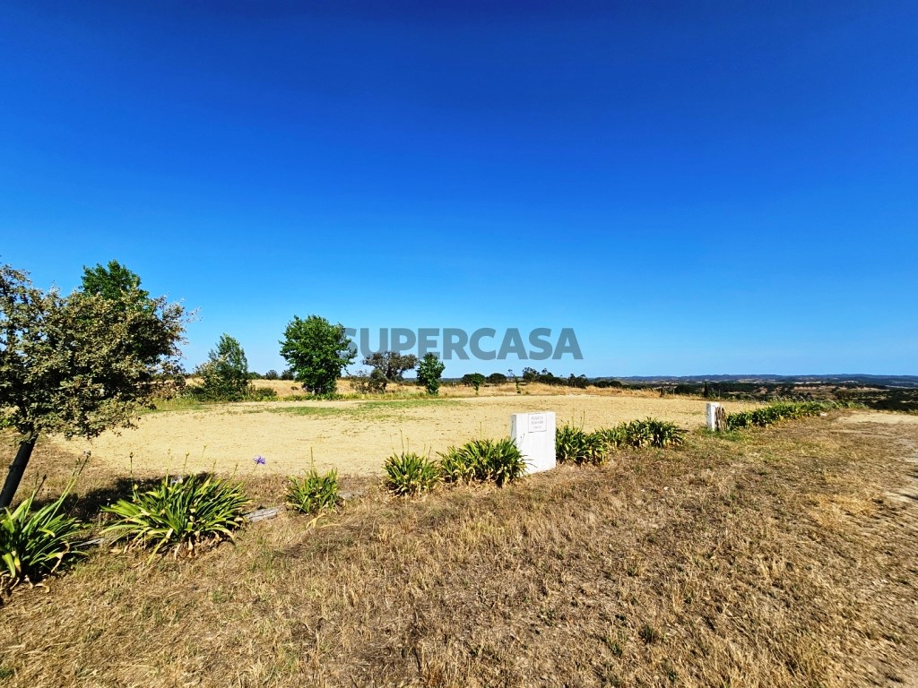 93.5 ha equestrian estate with a 5-bedroom house, swimming pool and lake in Alentejo, Portugal (16)