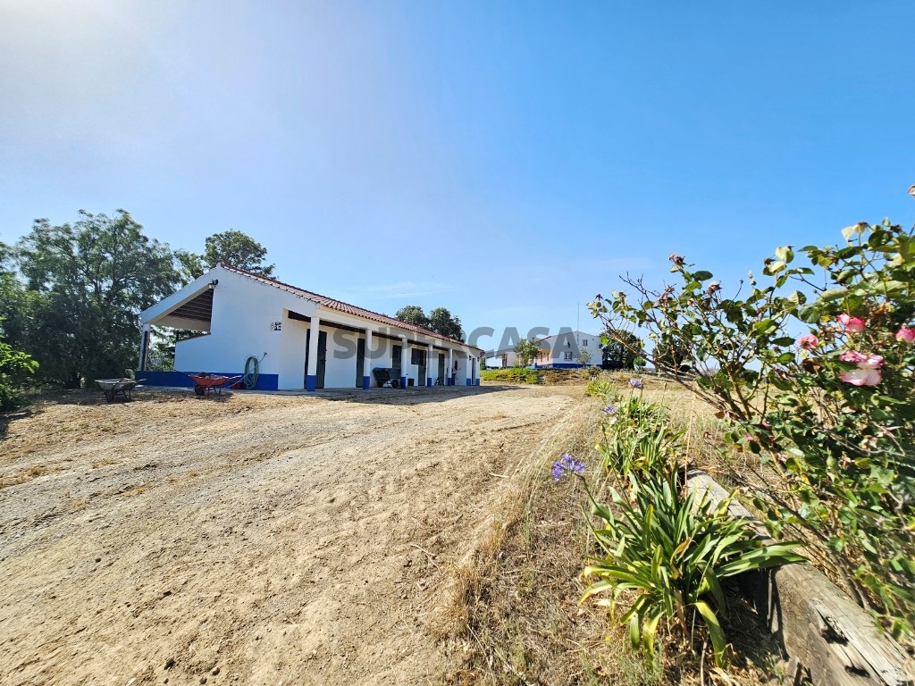 93.5 ha equestrian estate with a 5-bedroom house, swimming pool and lake in Alentejo, Portugal (11)