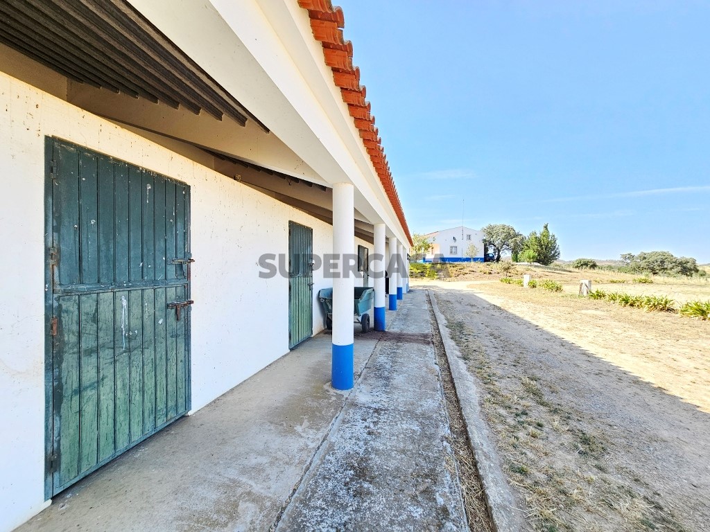 93.5 ha equestrian estate with a 5-bedroom house, swimming pool and lake in Alentejo, Portugal (9)