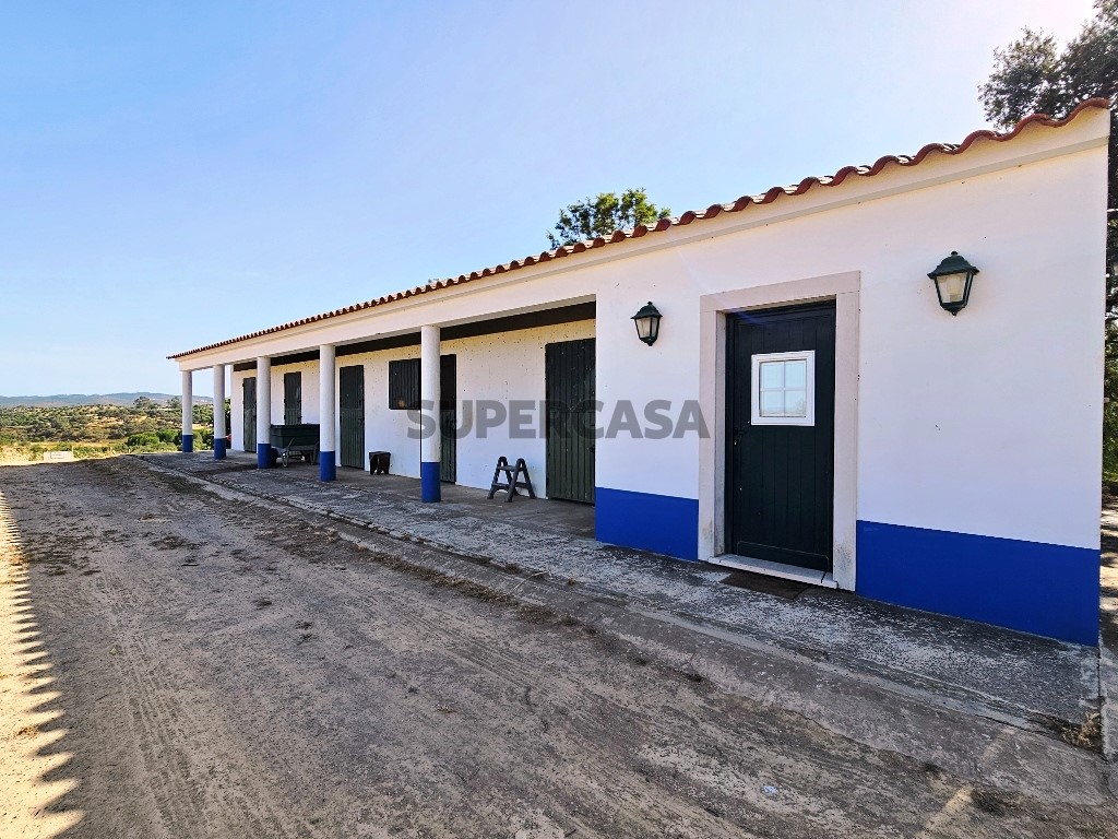 93.5 ha equestrian estate with a 5-bedroom house, swimming pool and lake in Alentejo, Portugal (17)