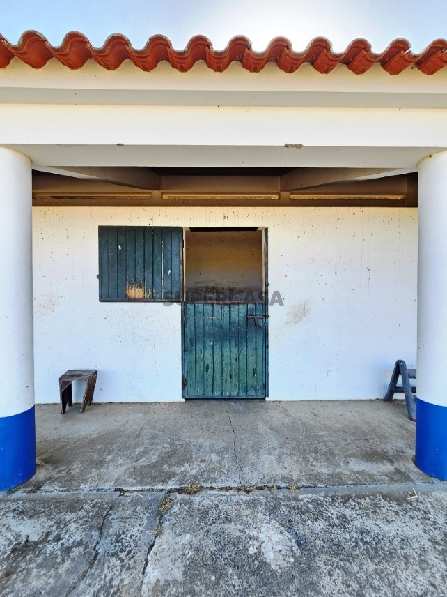 93.5 ha equestrian estate with a 5-bedroom house, swimming pool and lake in Alentejo, Portugal (14)