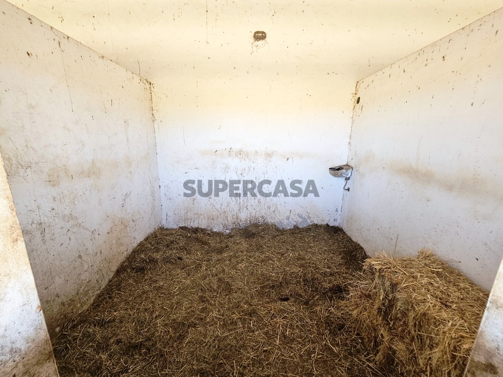 93.5 ha equestrian estate with a 5-bedroom house, swimming pool and lake in Alentejo, Portugal (13)