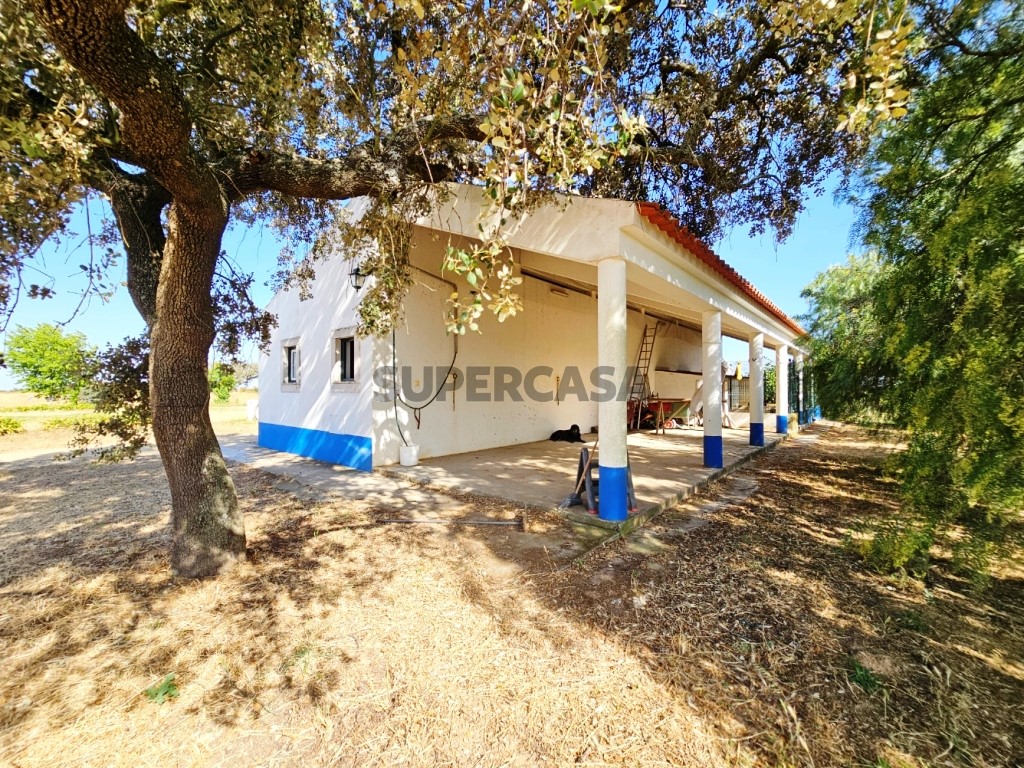 93.5 ha equestrian estate with a 5-bedroom house, swimming pool and lake in Alentejo, Portugal (19)