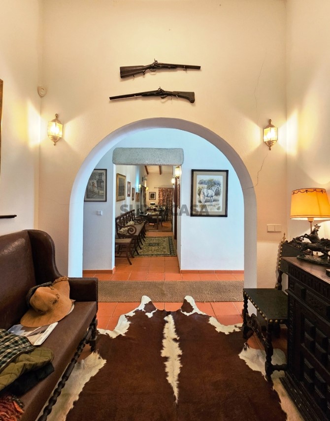 93.5 ha equestrian estate with a 5-bedroom house, swimming pool and lake in Alentejo, Portugal (58)