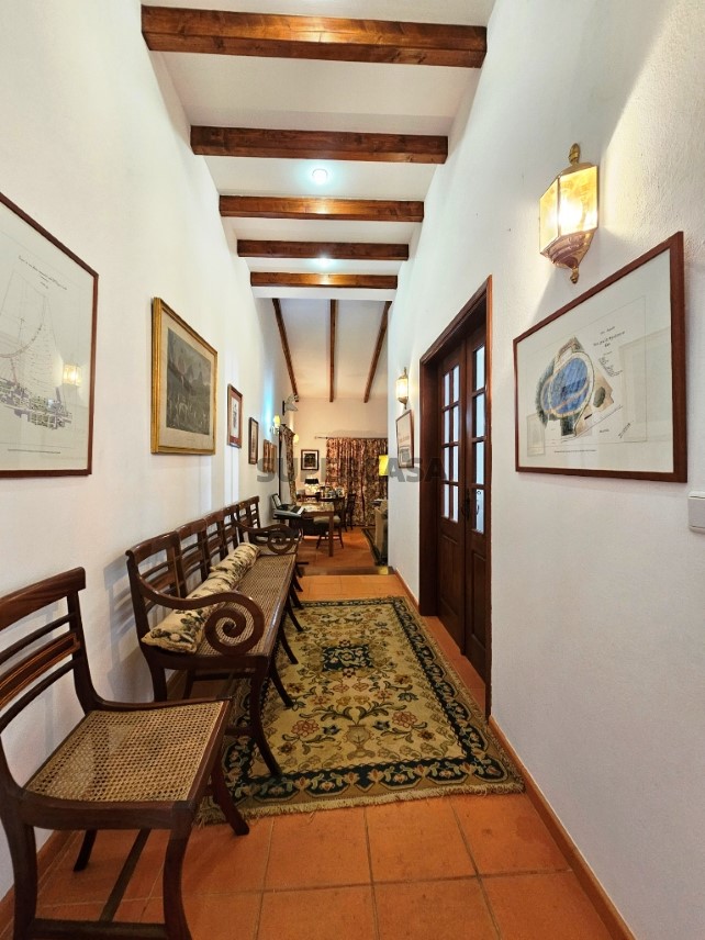 93.5 ha equestrian estate with a 5-bedroom house, swimming pool and lake in Alentejo, Portugal (59)