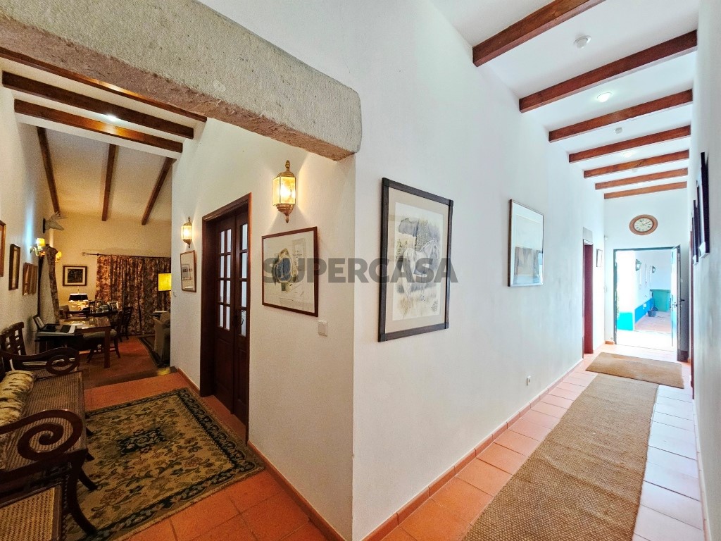 93.5 ha equestrian estate with a 5-bedroom house, swimming pool and lake in Alentejo, Portugal (60)
