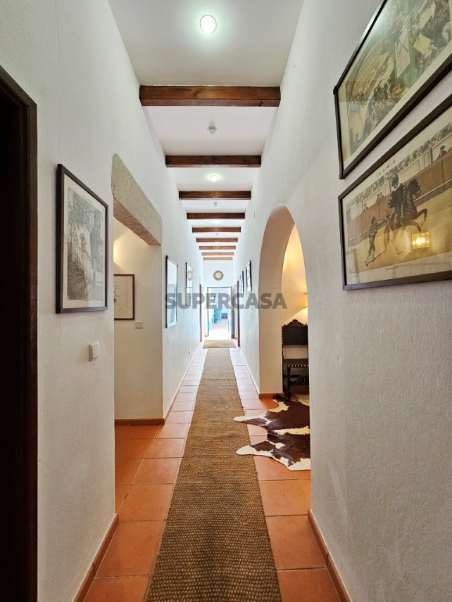 93.5 ha equestrian estate with a 5-bedroom house, swimming pool and lake in Alentejo, Portugal (61)