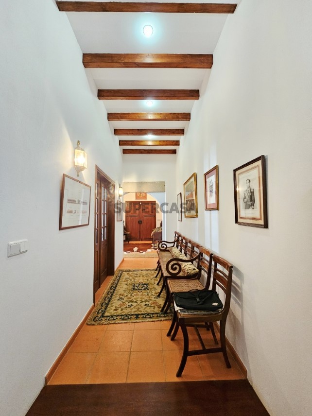 93.5 ha equestrian estate with a 5-bedroom house, swimming pool and lake in Alentejo, Portugal (65)