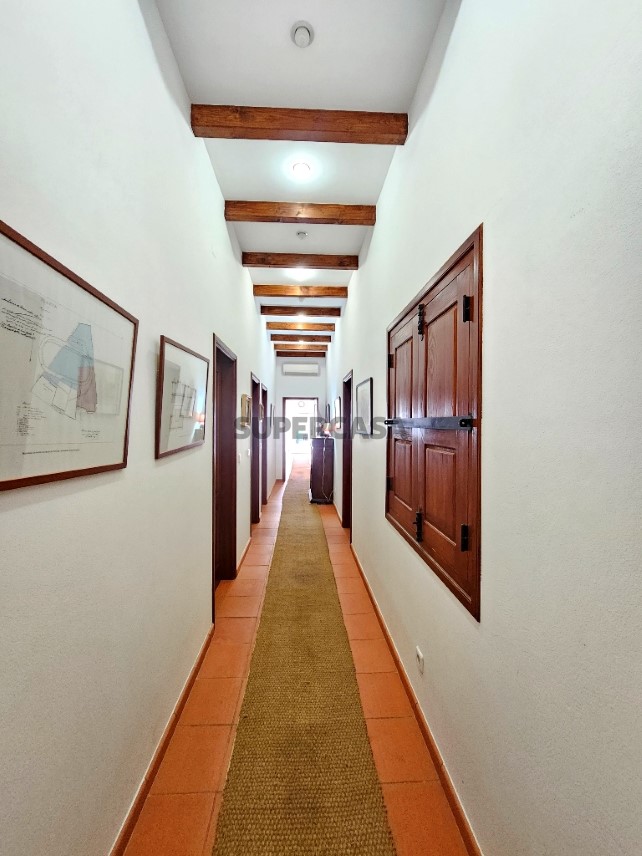 93.5 ha equestrian estate with a 5-bedroom house, swimming pool and lake in Alentejo, Portugal (89)