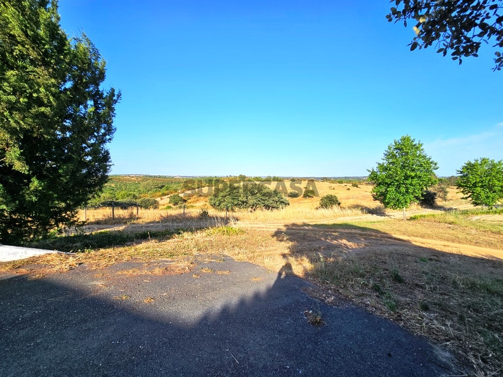 93.5 ha equestrian estate with a 5-bedroom house, swimming pool and lake in Alentejo, Portugal (45)