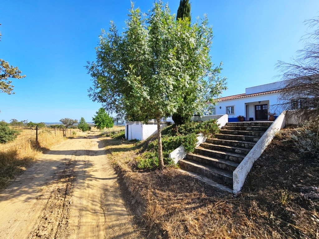 93.5 ha equestrian estate with a 5-bedroom house, swimming pool and lake in Alentejo, Portugal (40)