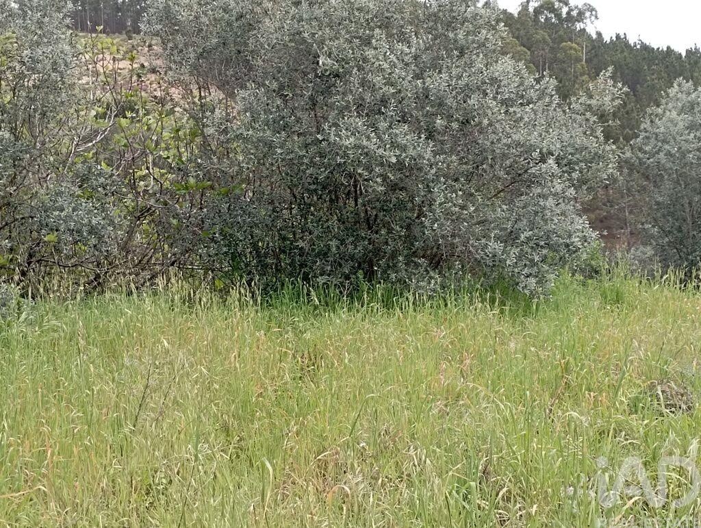 Moradia T2 à venda em Serra