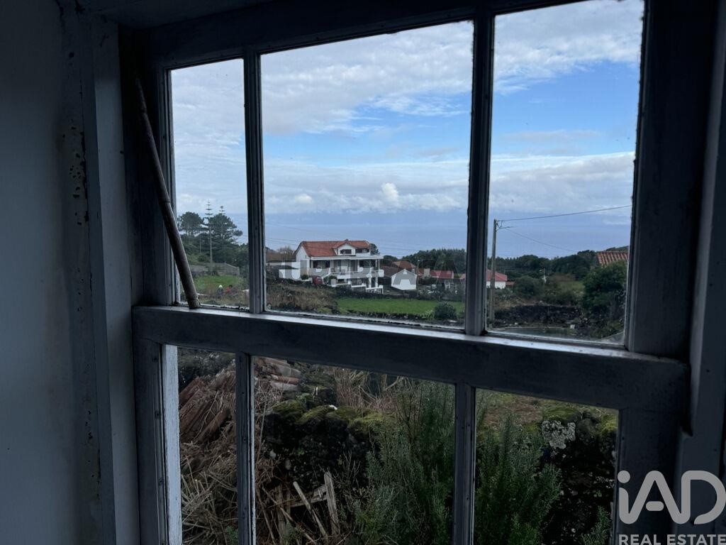 Vistas