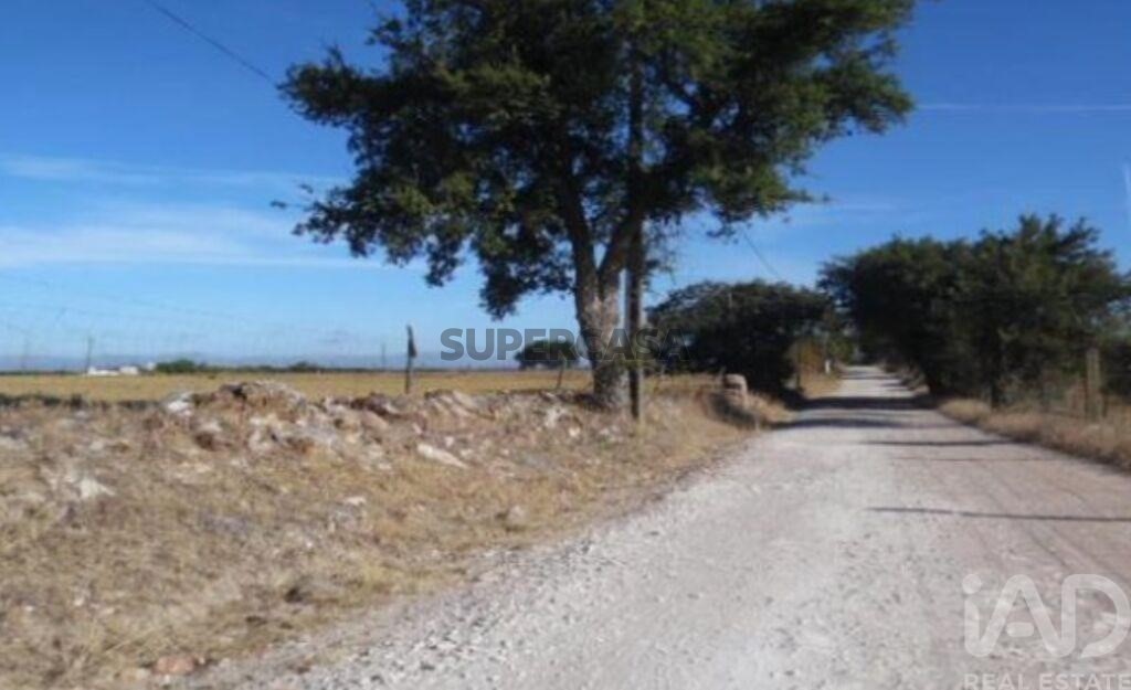 Gründstück verkaufen auf Estremoz (Santa Maria e Santo André)