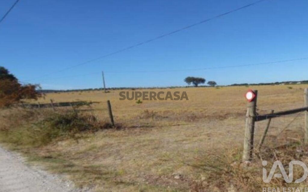 Gründstück verkaufen auf Estremoz (Santa Maria e Santo André)