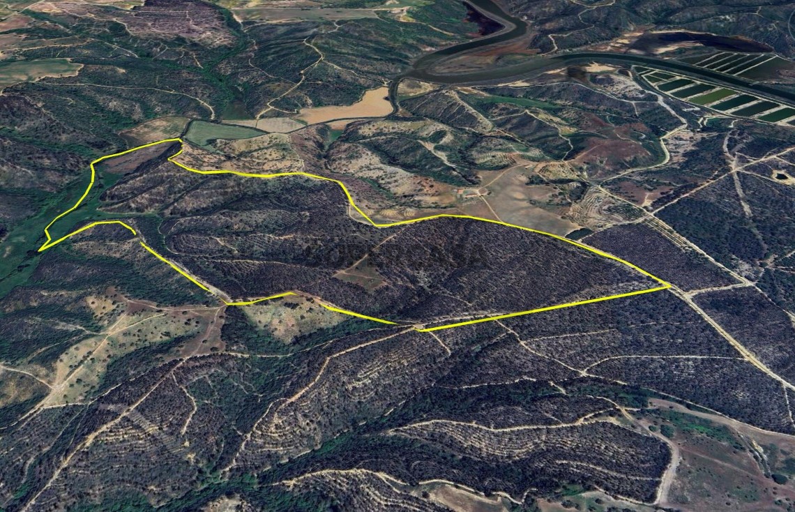 Finca 3 habitaciones en venta en São Salvador e Santa Maria