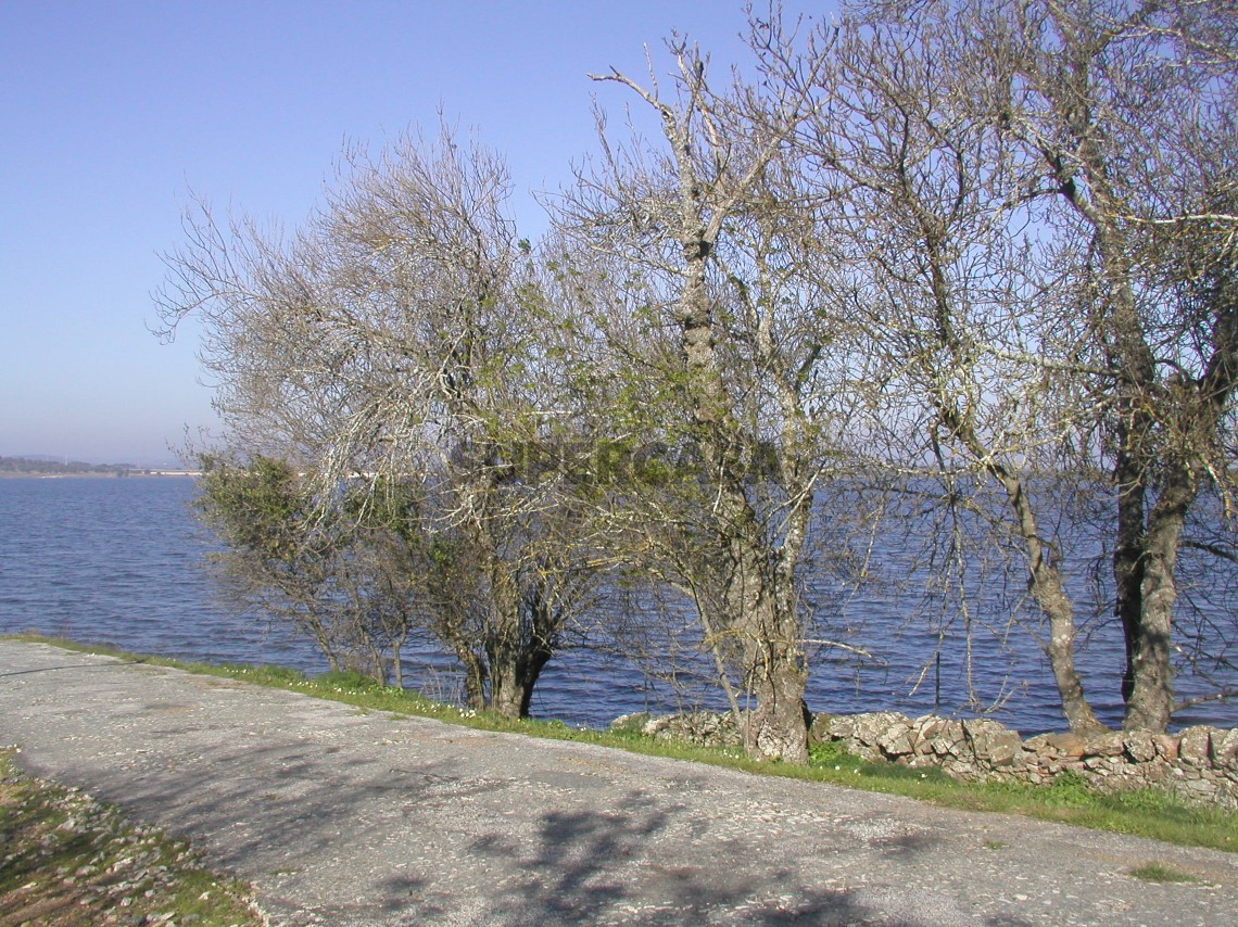 praia fluvial mourao
