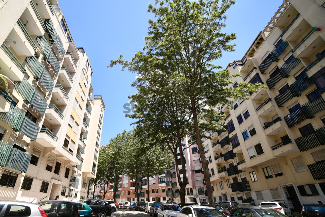 Encantador Apartamento T1 Totalmente Remodelado