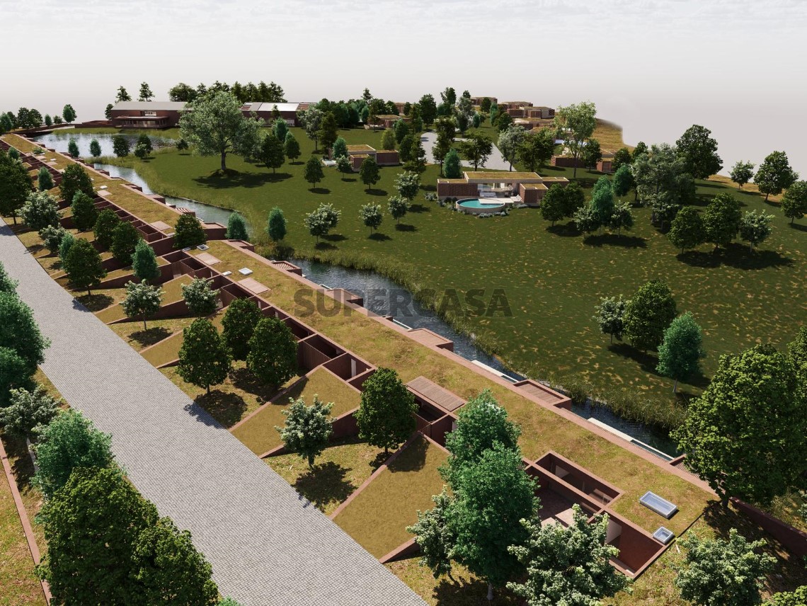 Jardim