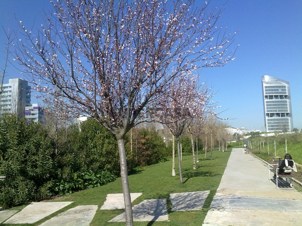 Arredores