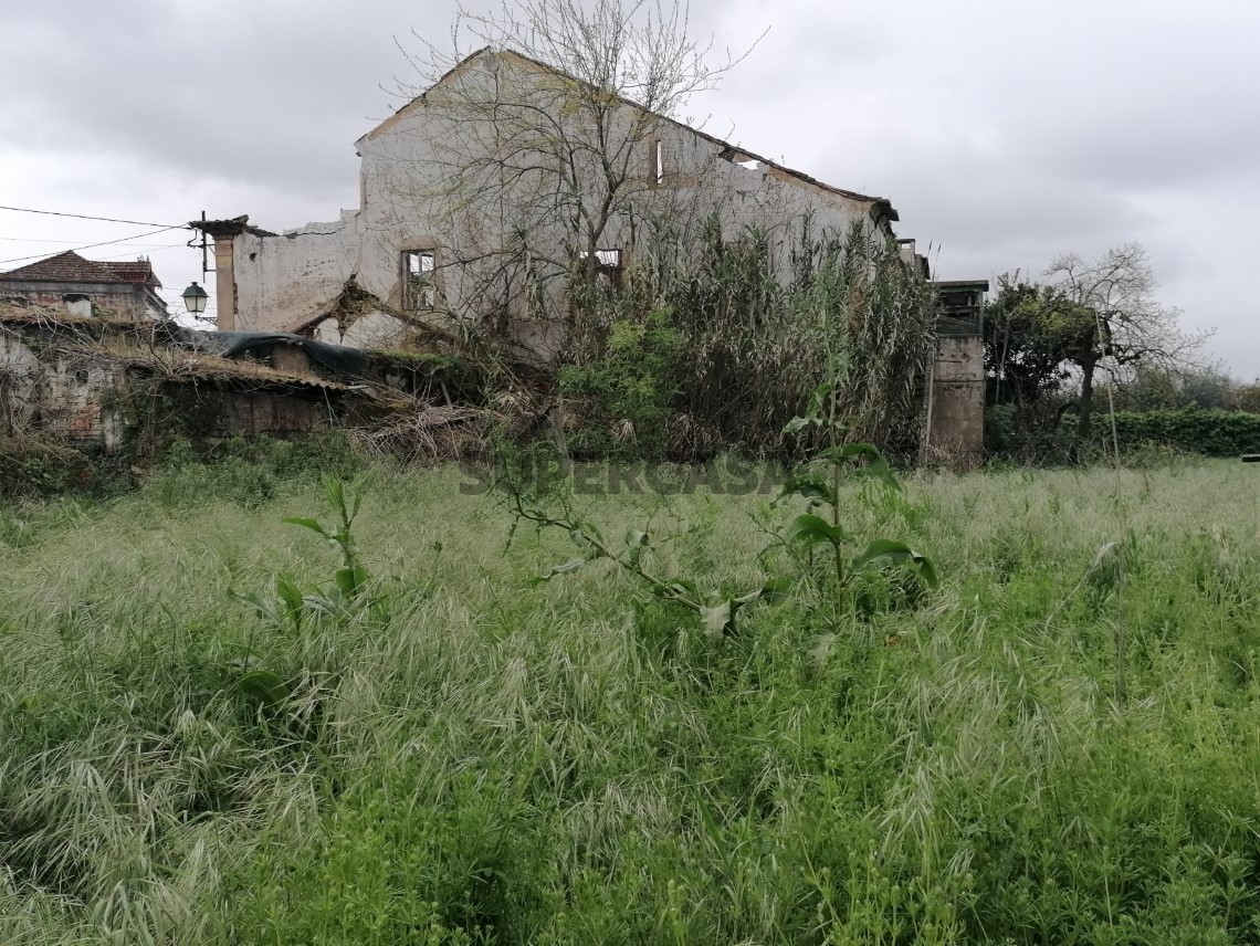 Terreno